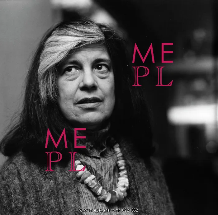 : Susan Sontag (1933 - 2004) : Susan Sontag (1933 - 2004)