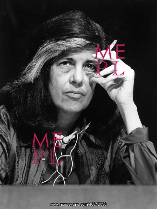 : Susan Sontag : Susan Sontag