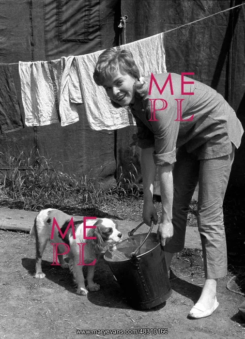  : Susannah York