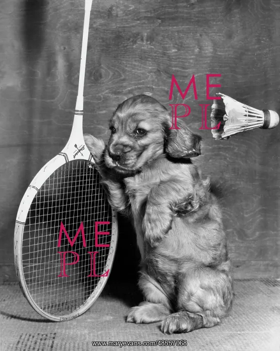 : Susi - with badminton racquet and shuttlecock : Susi - with badminton racquet and shuttlecock