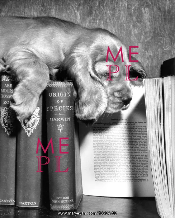 : Susi - with books : Susi - with books
