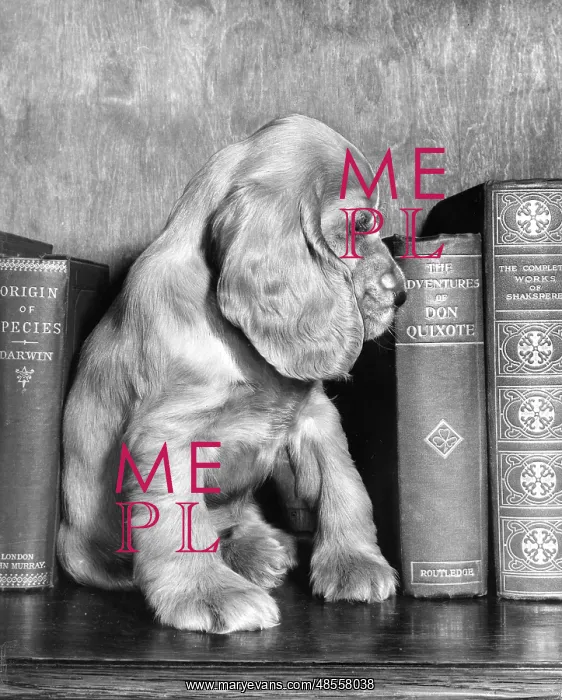  : Susi - with books