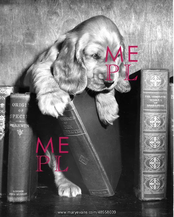  : Susi - with books