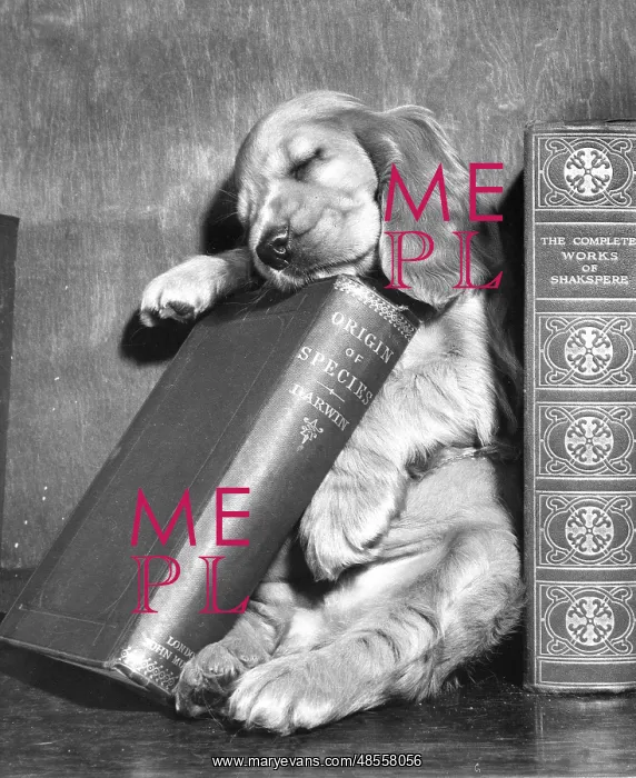  : Susi - with books
