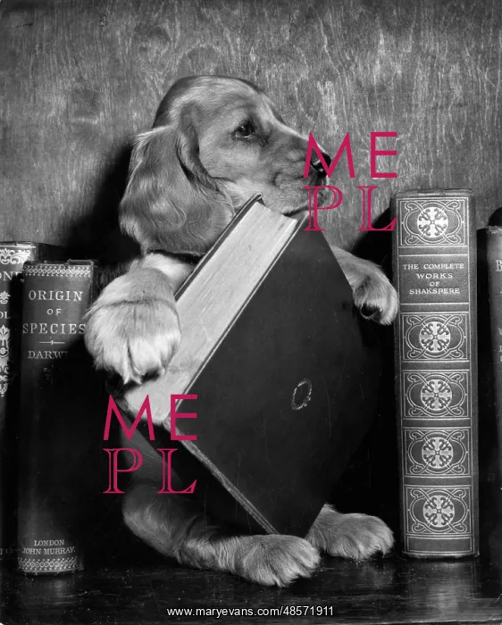  : Susi - with books