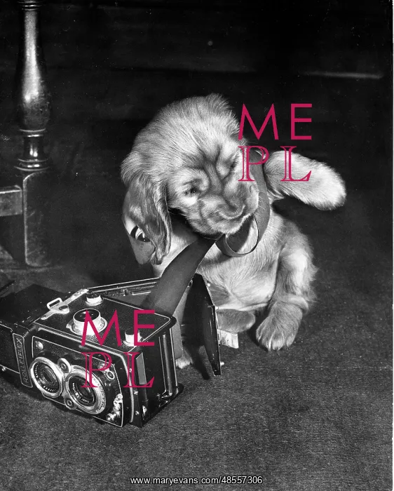  : Susi - with a box camera