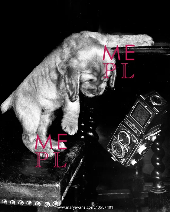  : Susi - with a box camera
