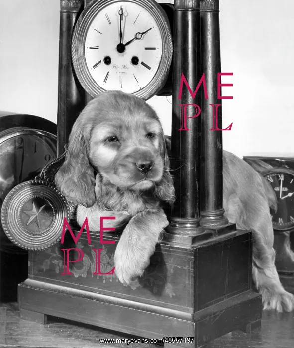 : Susi - with carriage clock