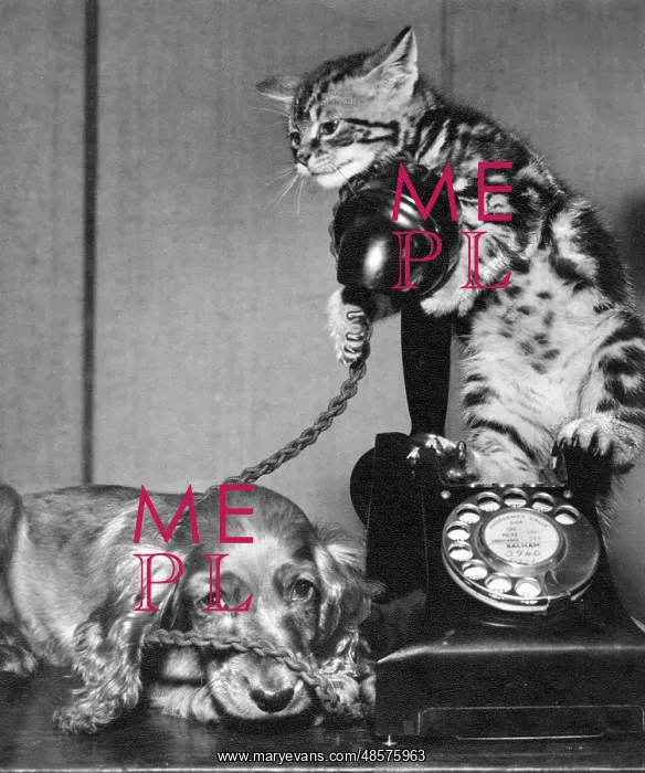  : Susi - with cat and telephone