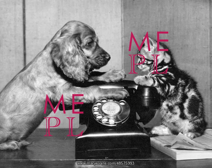  : Susi - with cat and telephone