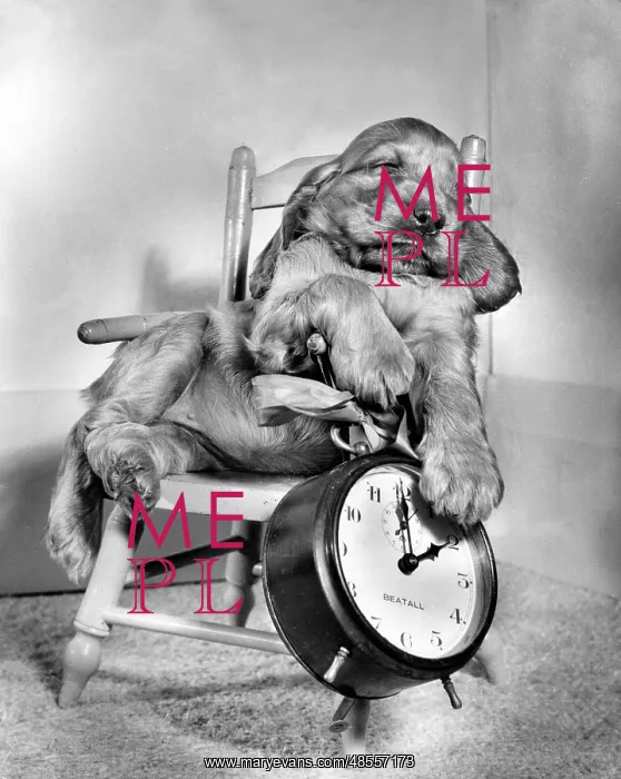 : Susi - in chair, with alarm clock : Susi - in chair, with alarm clock