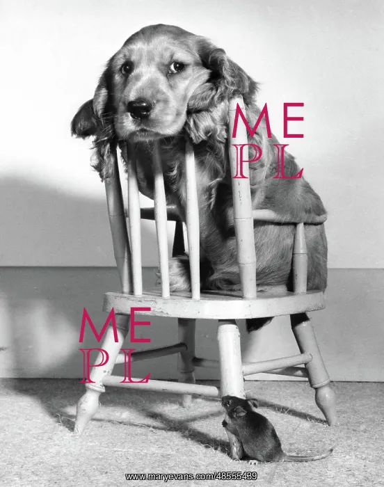 : Susi - on chair, with mouse below : Susi - on chair, with mouse below