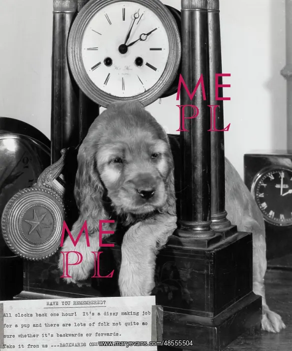 : Susi - with clock : Susi - with clock