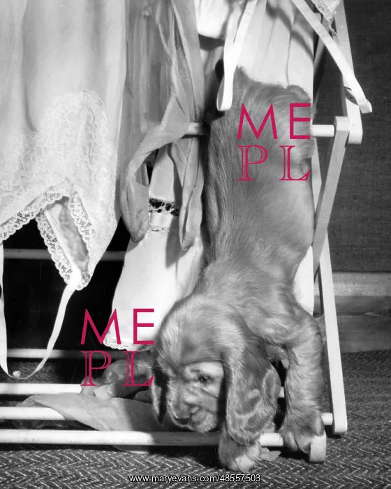 : Susi - with clothes horse : Susi - with clothes horse