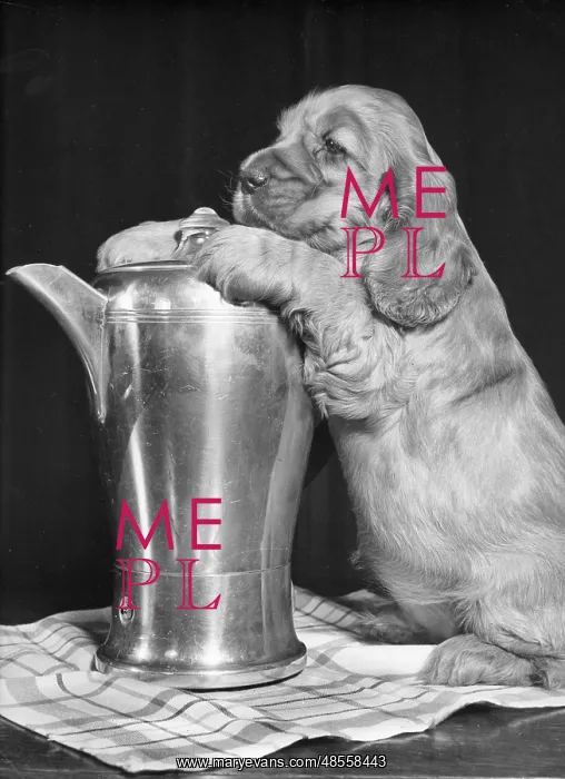  : Susi - with coffee pot