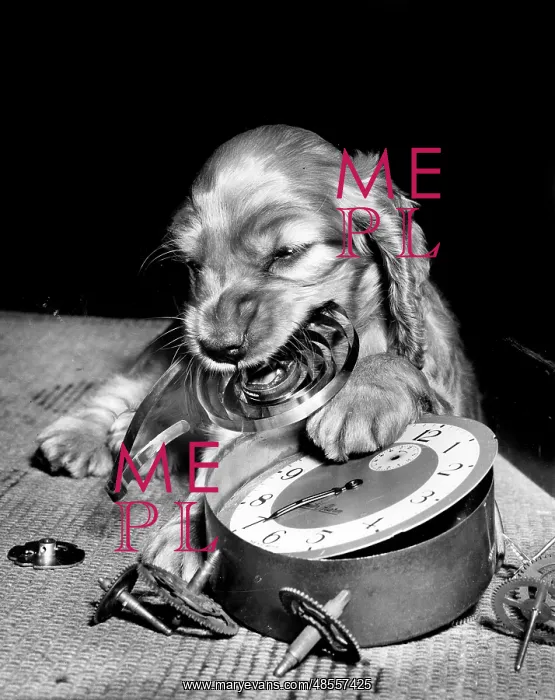  : Susi - demolishing an alarm clock