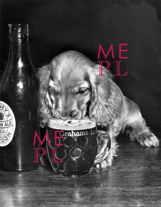  : Susi - drinking beer