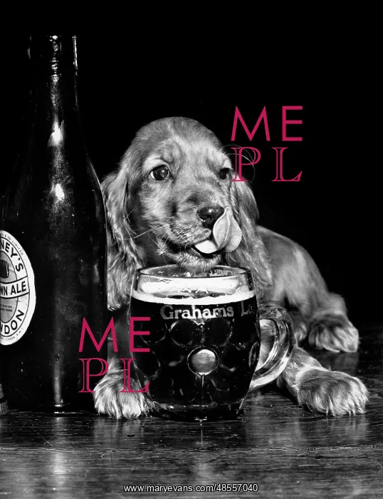  : Susi - drinking beer