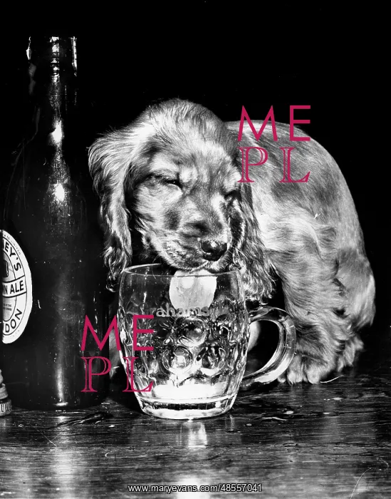  : Susi - drinking beer