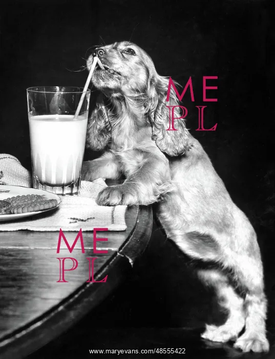  : Susi - drinking through a straw