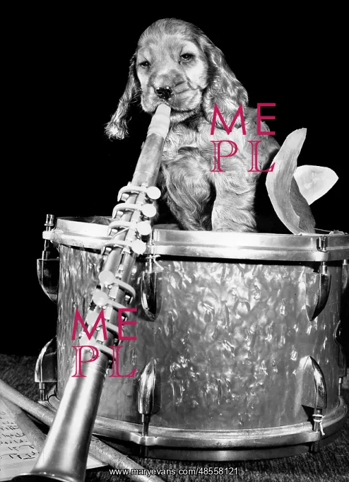 : Susi - with drum and clarinet : Susi - with drum and clarinet