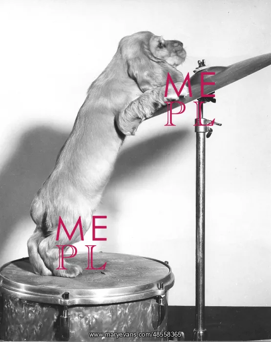  : Susi - with drum and cymbal