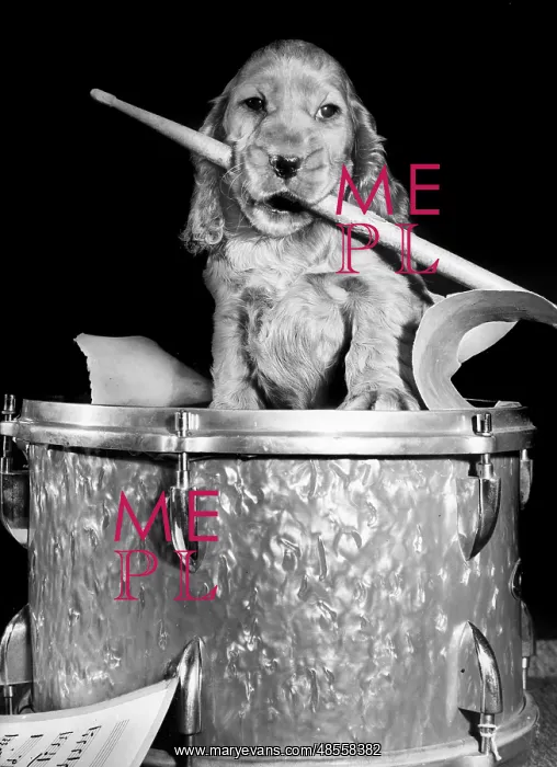  : Susi - with drum and drumstick