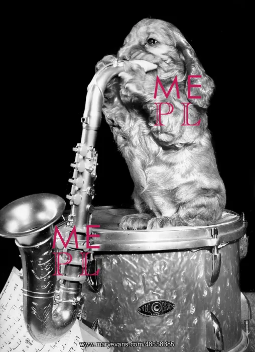 : Susi - with drum and saxophone : Susi - with drum and saxophone