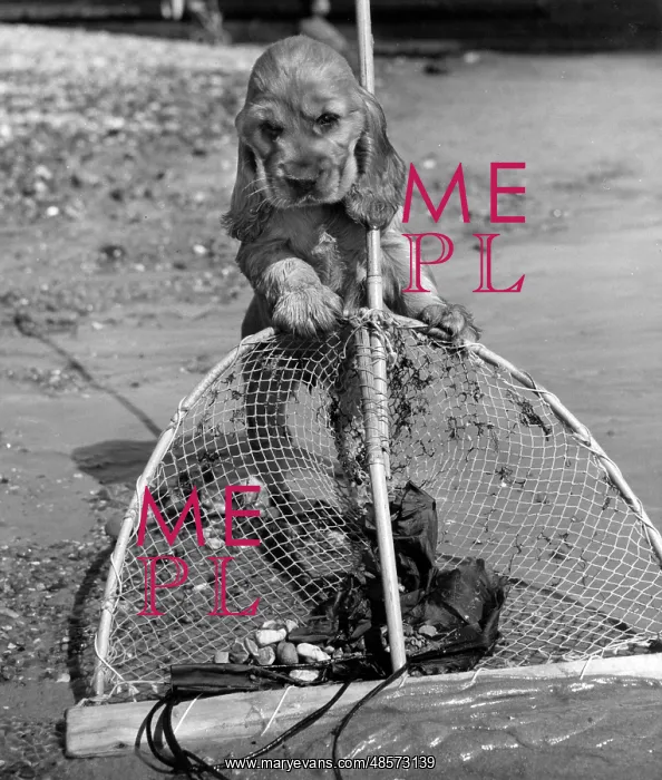  : Susi - with fishing net