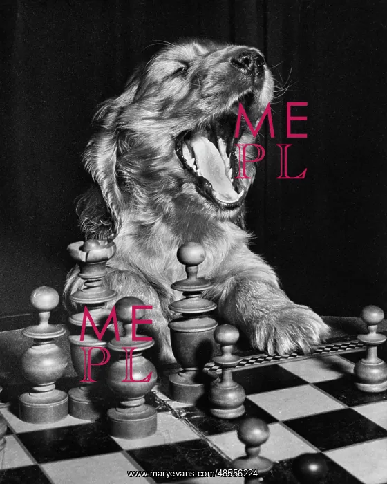  : Susi - getting tired of playing chess