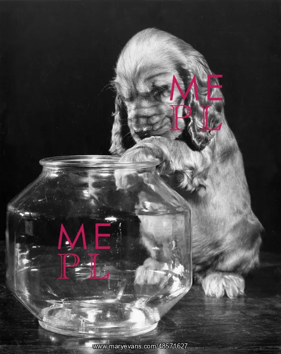  : Susi - with empty glass bowl
