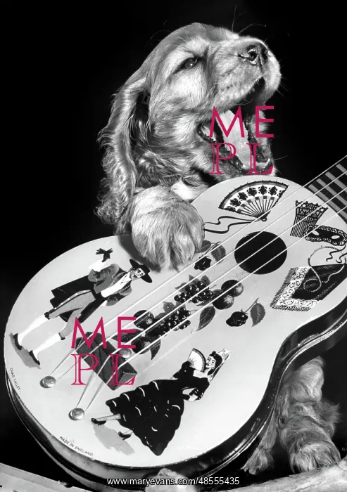  : Susi - with guitar