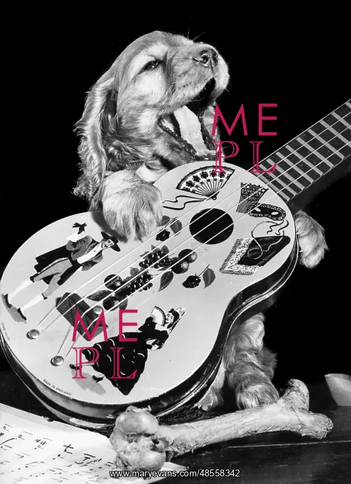 : Susi - with guitar
