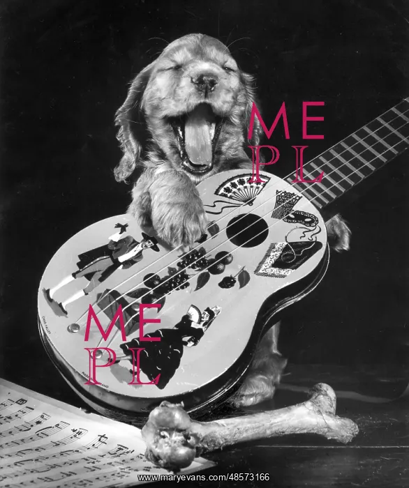  : Susi - with guitar and bone