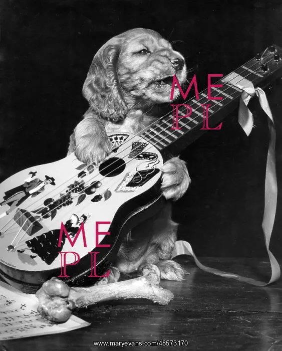  : Susi - with guitar and bone