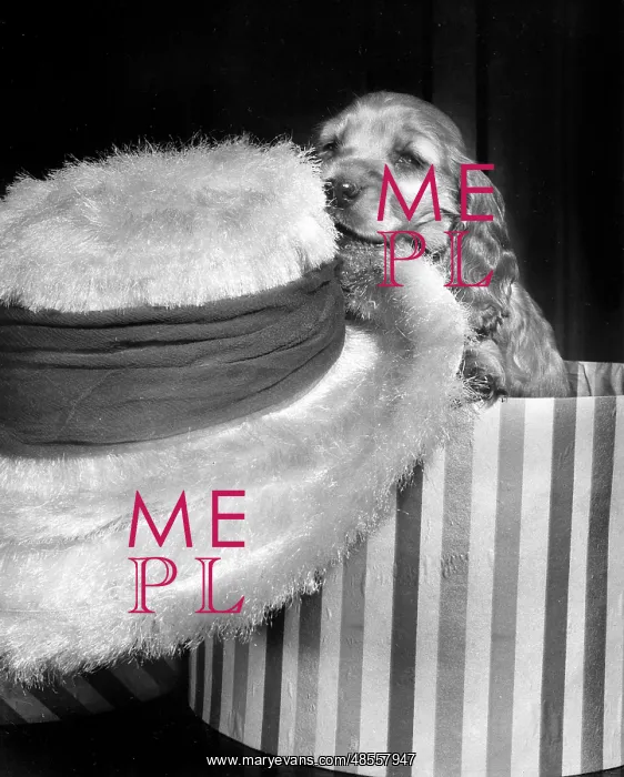  : Susi - with hat in hatbox