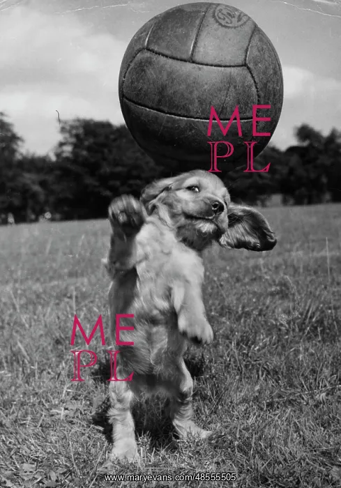  : Susi - having fun with a football