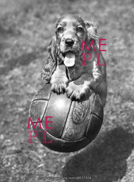  : Susi - having fun with a football