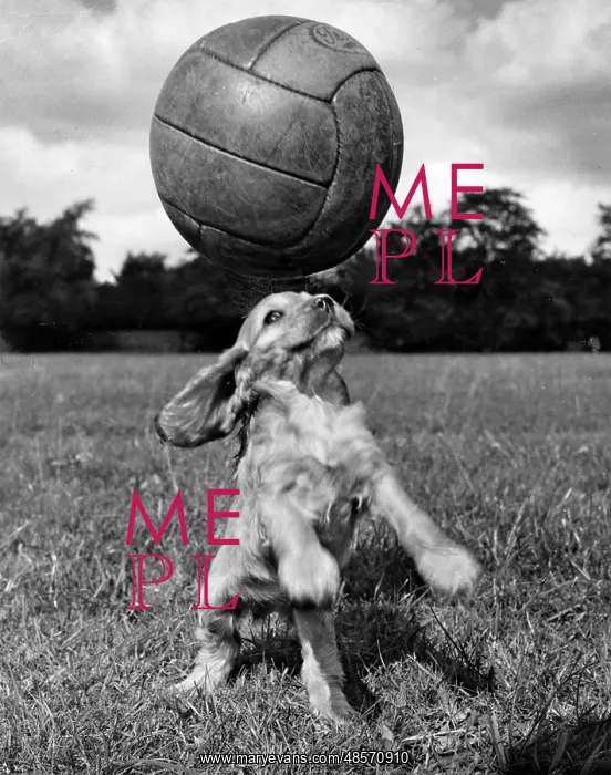  : Susi - having fun with a football