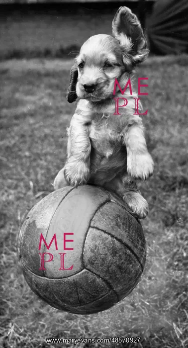  : Susi - having fun with a football