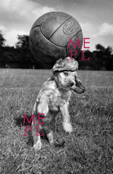  : Susi - having fun with a football