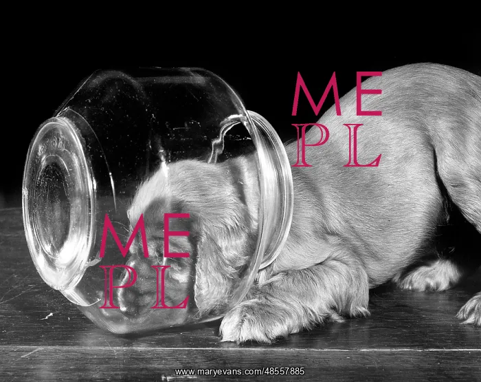 : Susi - with head inside glass bowl : Susi - with head inside glass bowl