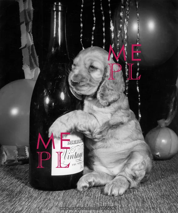  : Susi - holding onto a bottle