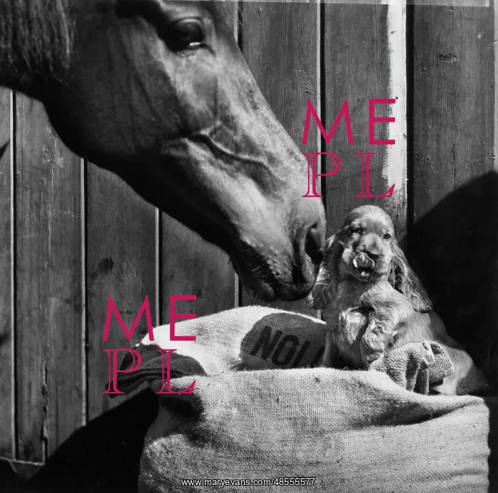  : Susi - with horse