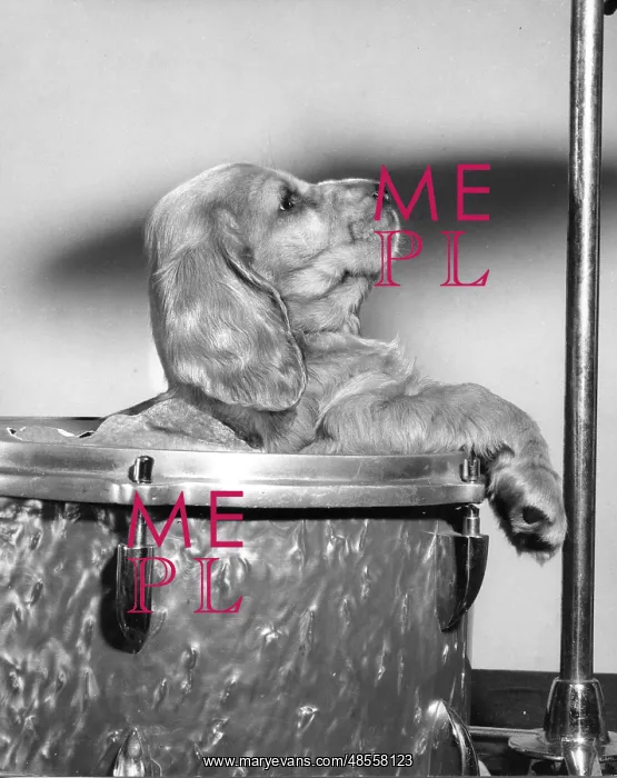  : Susi - inside a drum
