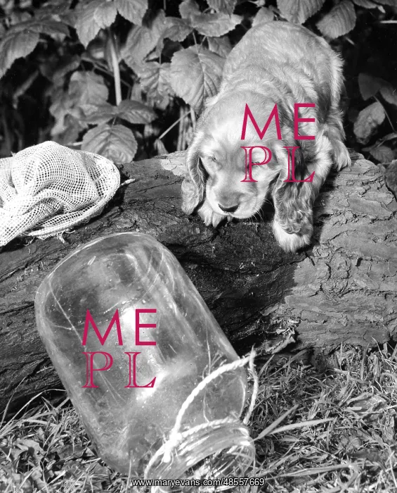  : Susi - with an empty jar