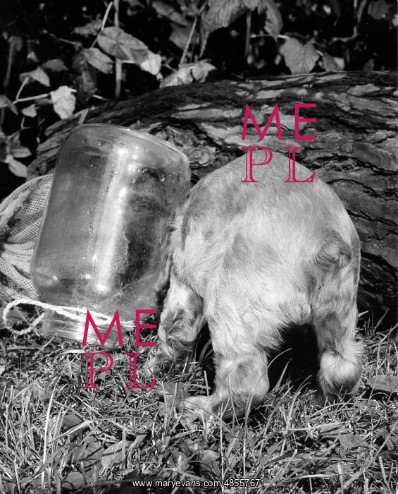  : Susi - with an empty jar