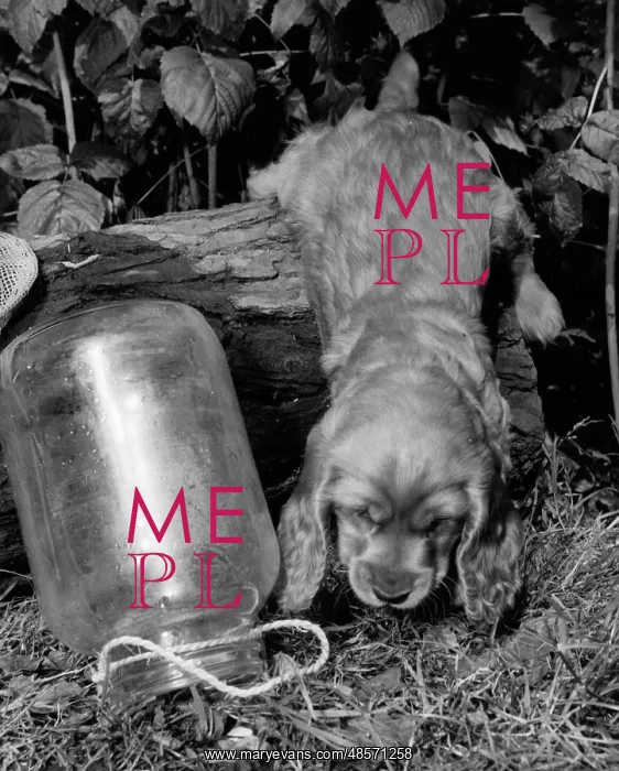  : Susi - with an empty jar