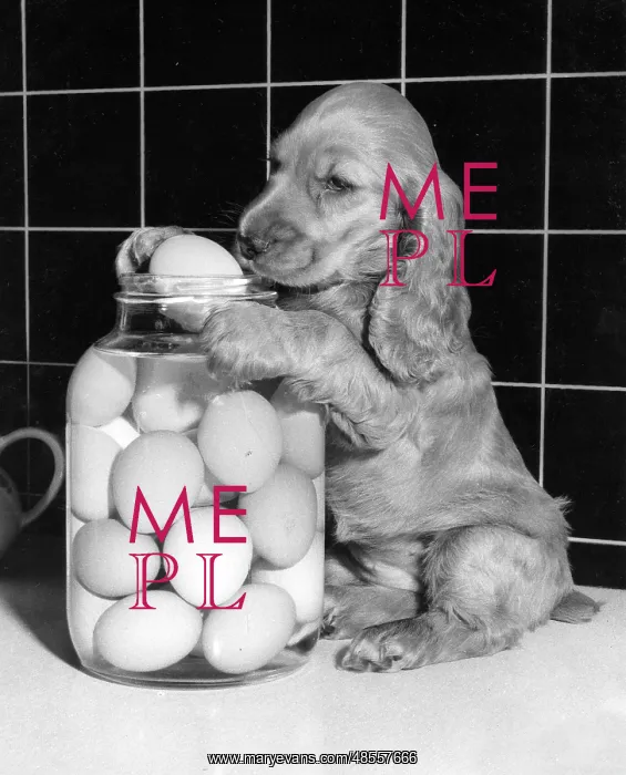  : Susi - with a jar of eggs