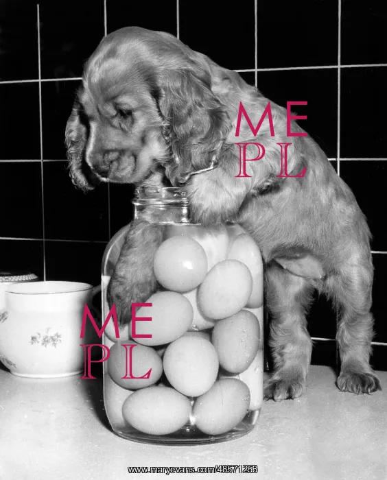  : Susi - with a jar of eggs